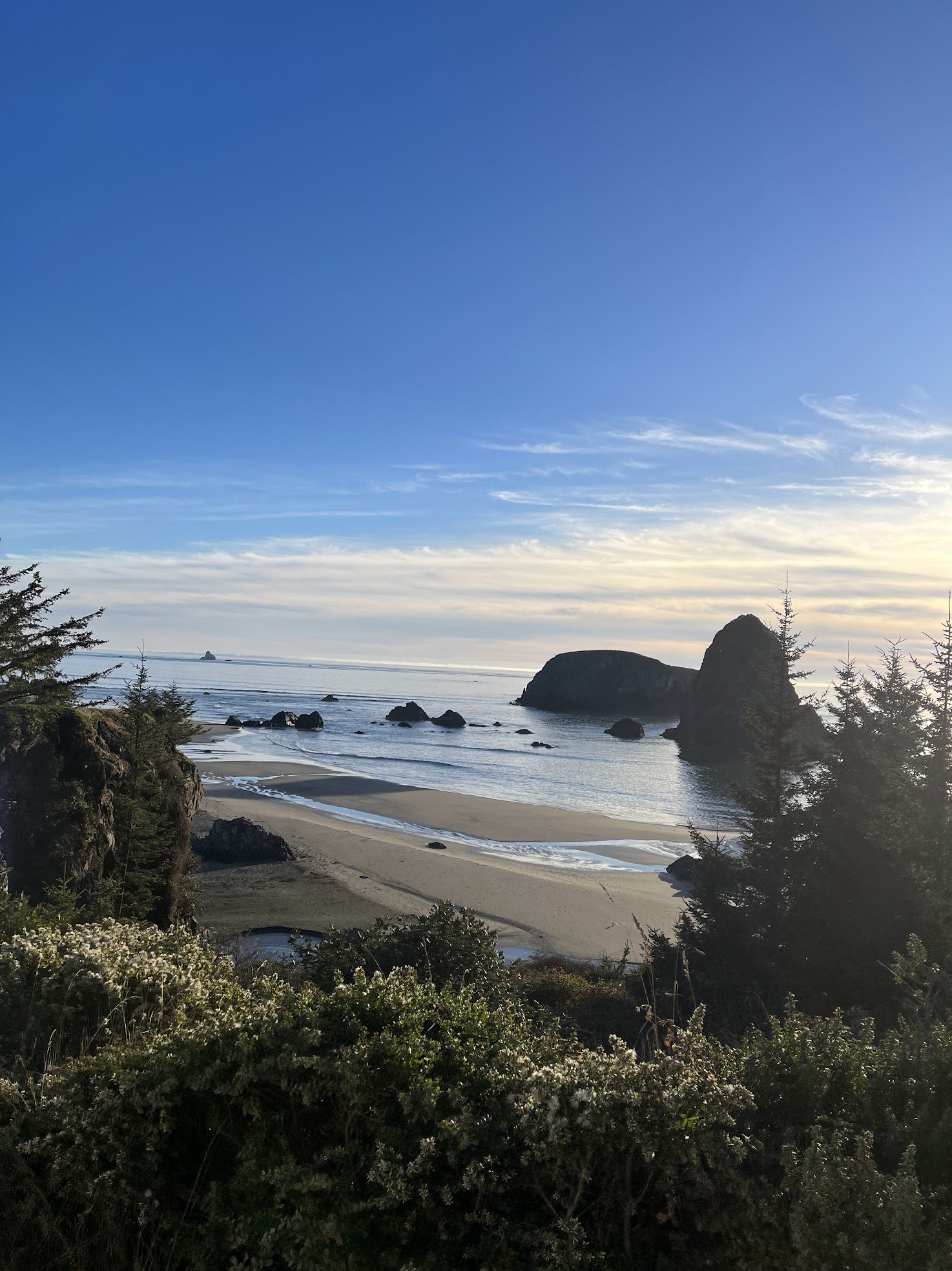 Whaleshead Beach from the bluff, sea stacks and a low tide on a blue-sky morning.