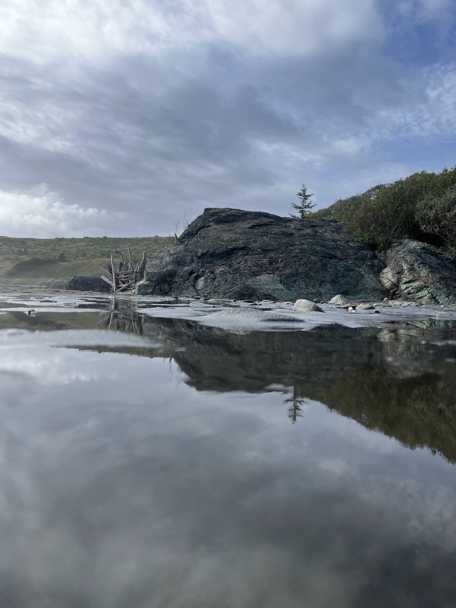 Driftwood fort and rock reflected in a tide pool at Lone Ranch Beach.