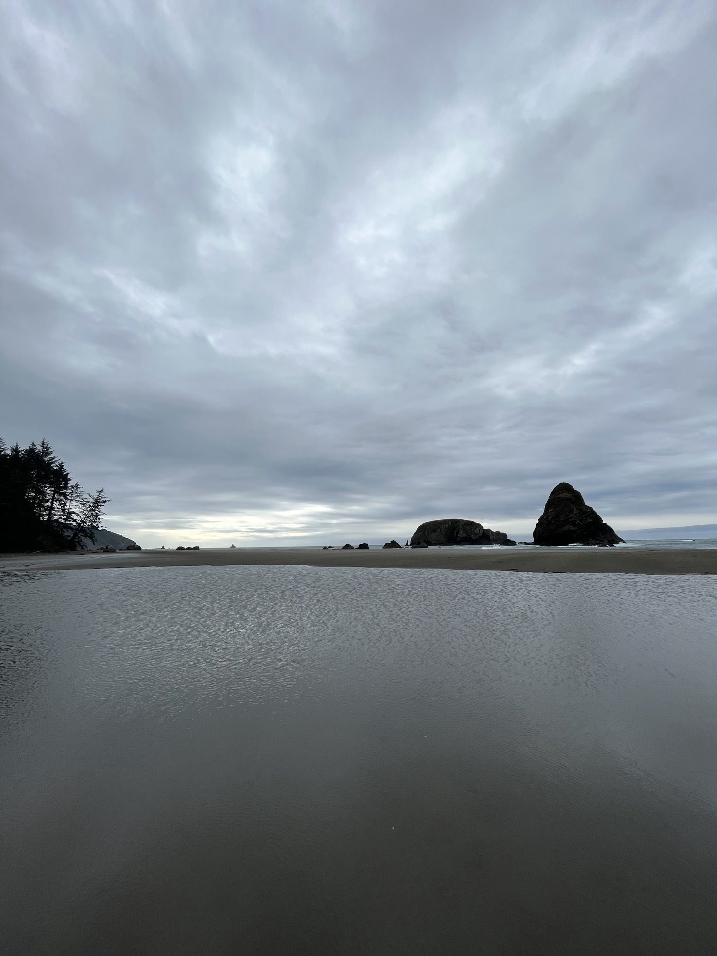 Whaleshead Rock offshore beyond a tide pool at Whaleshead Beach.